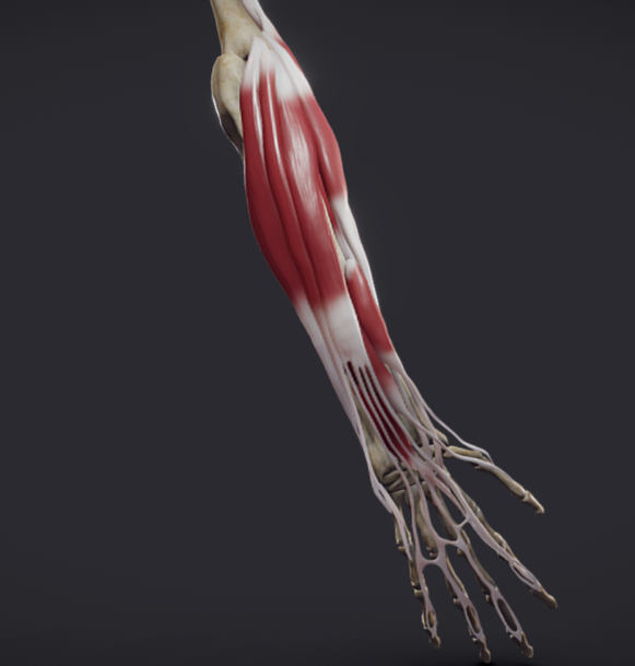 hemiarthroplasty
